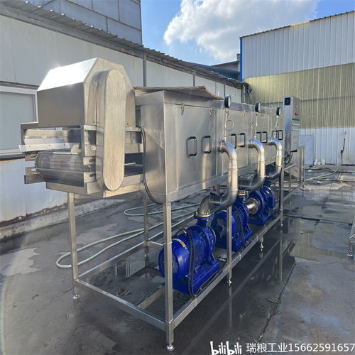 一站式解決大姜生產難題 選擇瑞糧食品工業裝備大姜清洗機與建筑節能系統設備