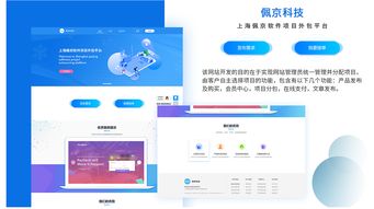 軟件項(xiàng)目外包網(wǎng)界面